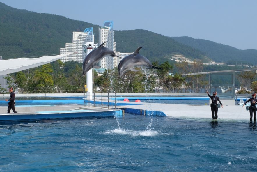 거제 씨월드